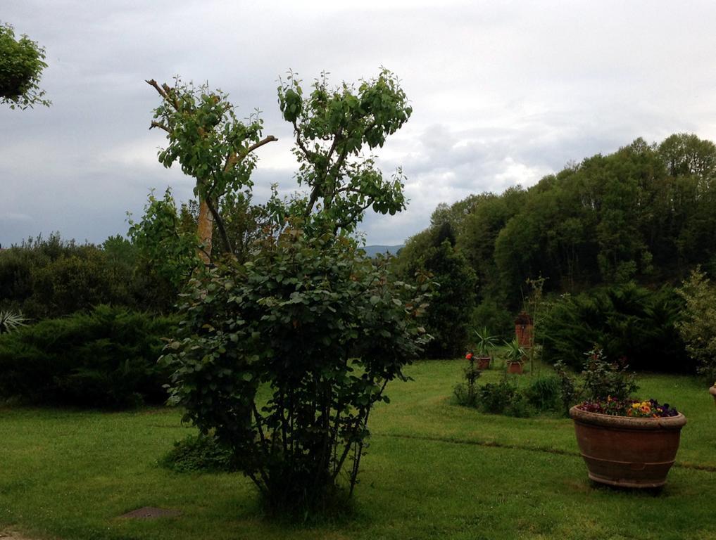 Lovely Tuscan Country House Siena Dış mekan fotoğraf